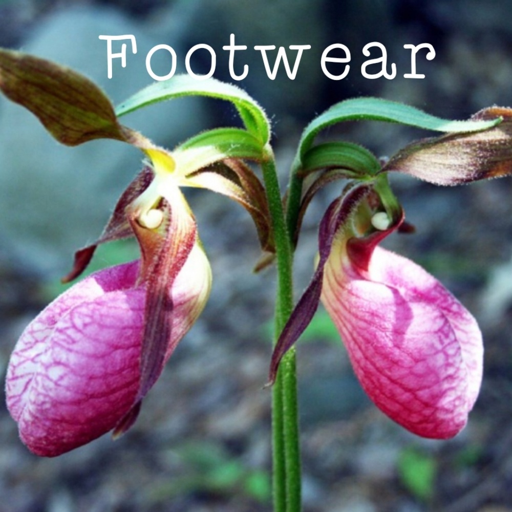 Footwear [section]